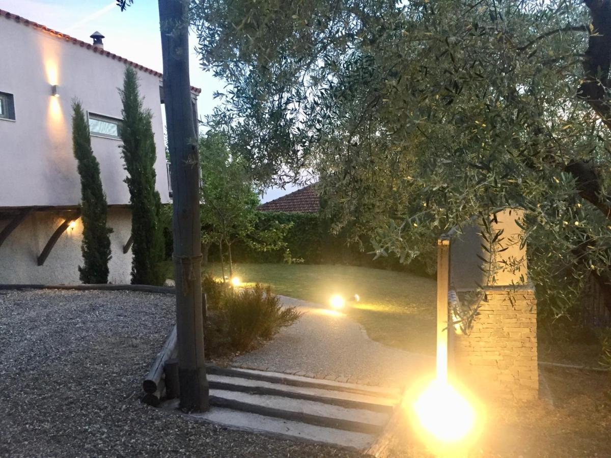 Sea View Villa In Olive Garden Nea Kallikrateia Kültér fotó